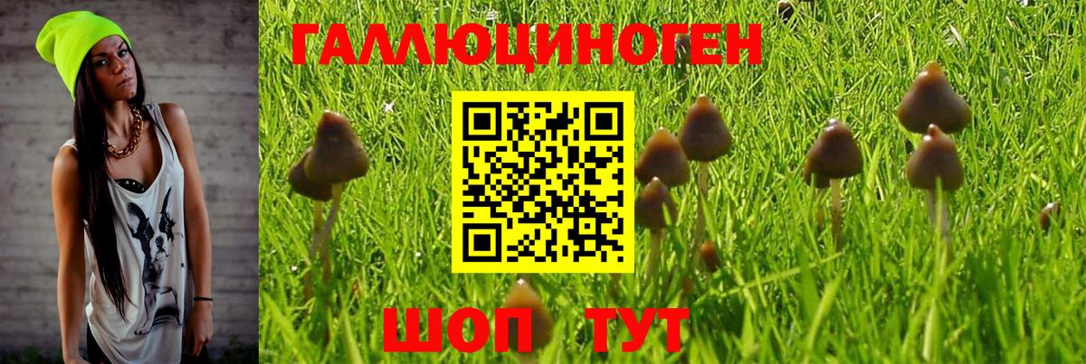 Псилоцибиновые грибы мухоморы  Вход с VPN  Кореновск 